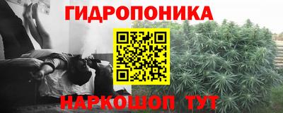 PSILOCYBIN Уссурийск